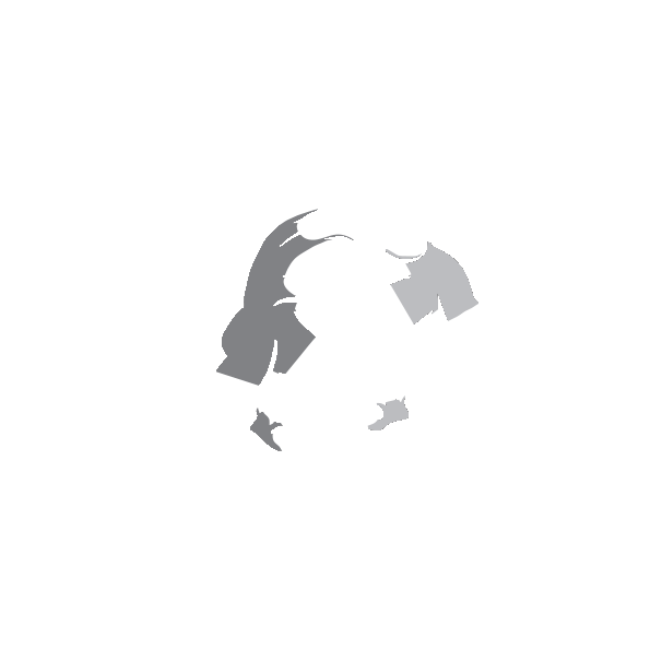 Wrestling Club Slovakia